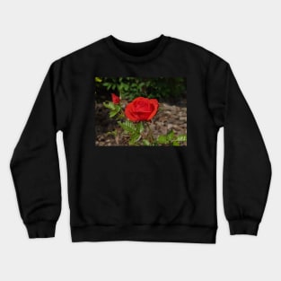 Red Rose and Rose Bud Crewneck Sweatshirt